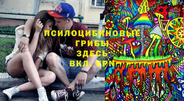 тгк Магас