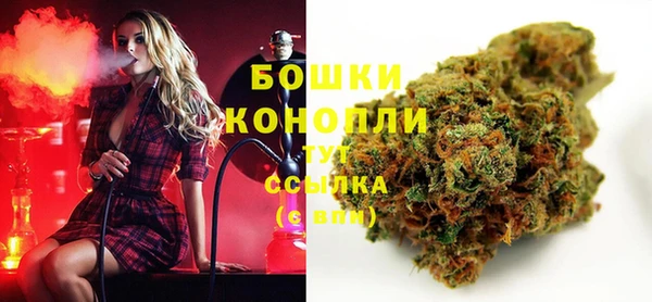 PSILOCYBIN Лиски