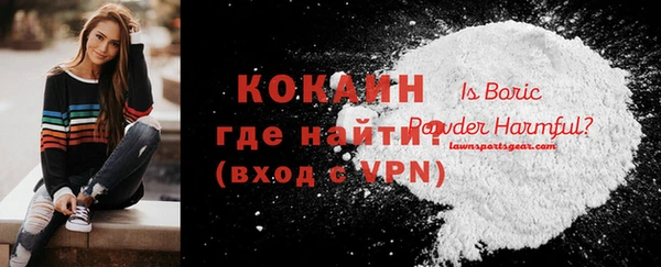 PSILOCYBIN Лихославль